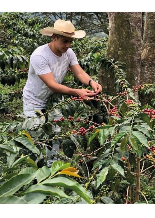 Imana café Santander